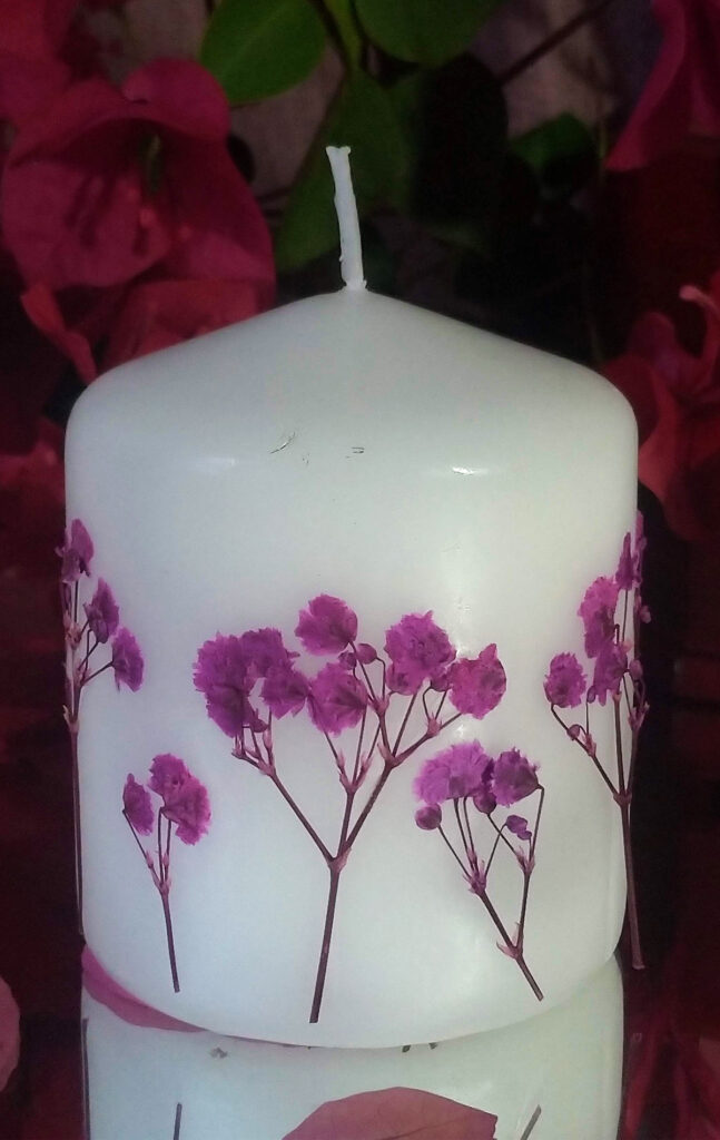 Vela com Gipsófila Rosa Prensadas