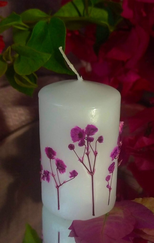 Vela com Gipsófila Rosa Prensadas