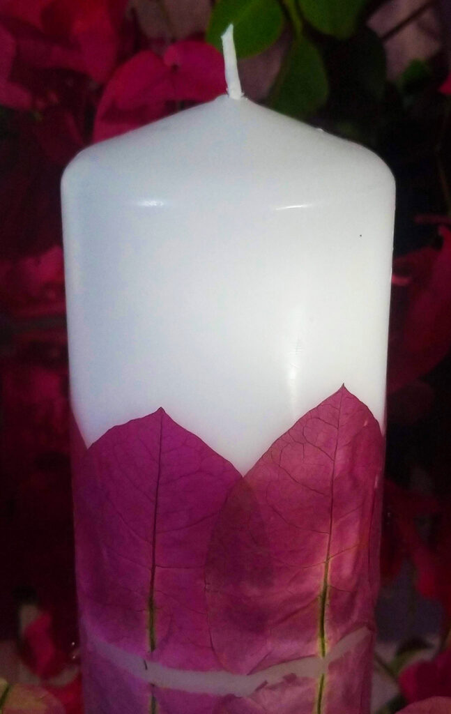 Velas com Pétalas de Buganvílias Prensadas