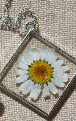 Pendentes